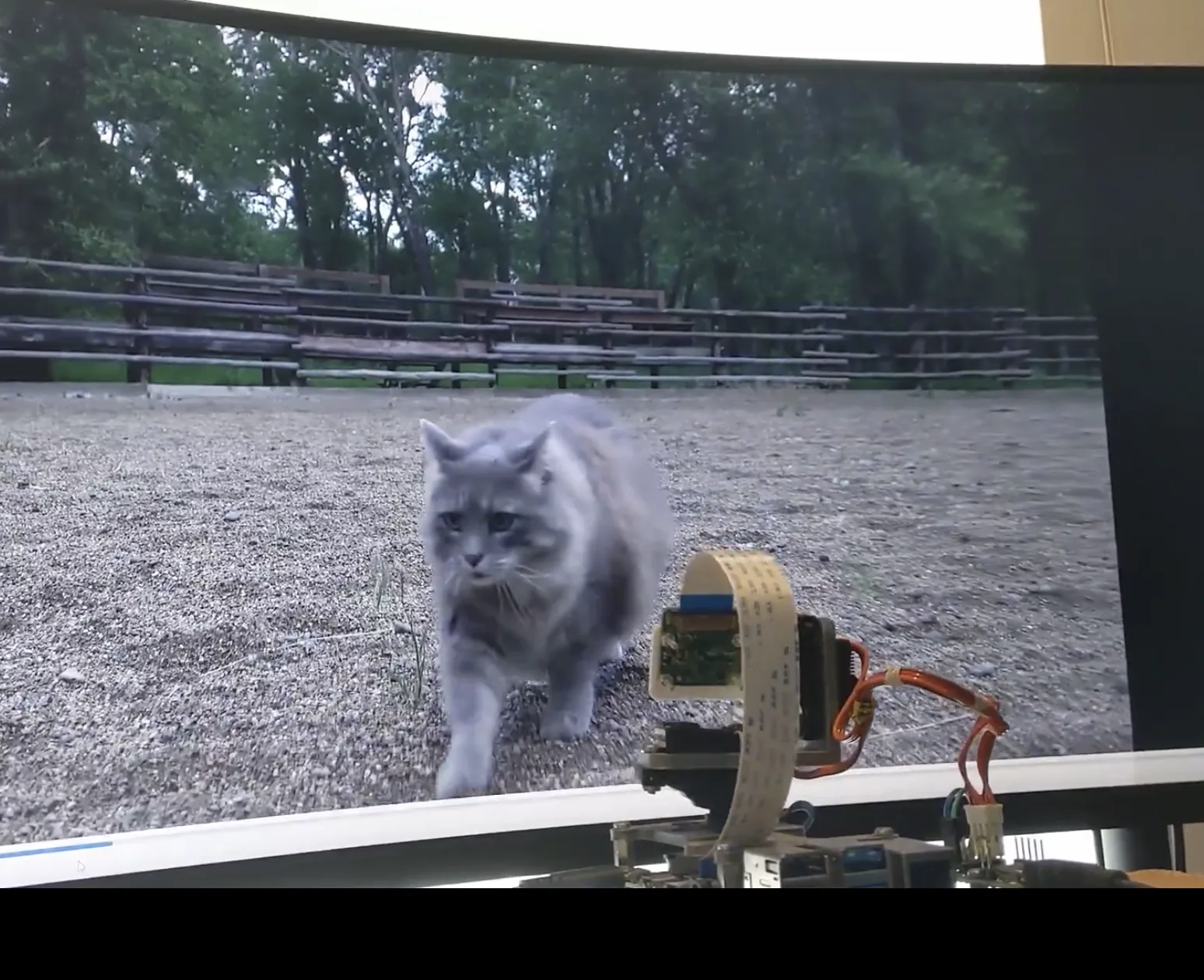 Camera prototype in front of a display showing a cat